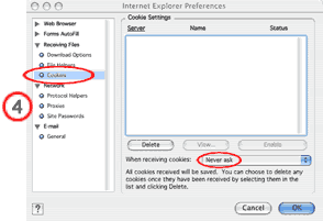 Internet Explorer browser cookie set up image