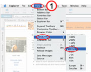 Internet Explorer text size set up image