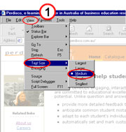 Internet Explorer text size set up image