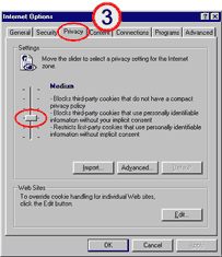 Internet Explorer privacy set up image