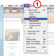 Safari text size set up image